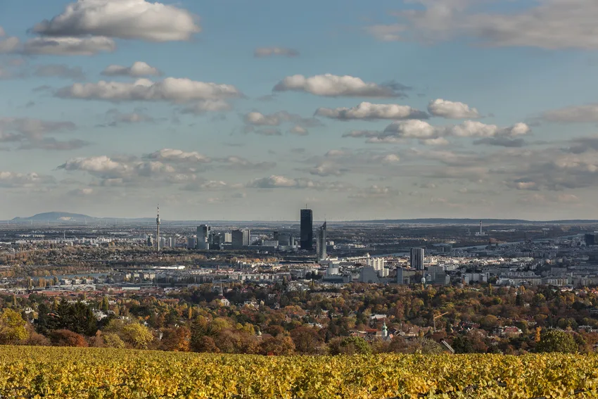 Setting Up a RAIF (Reserved Alternative Investment Fund)